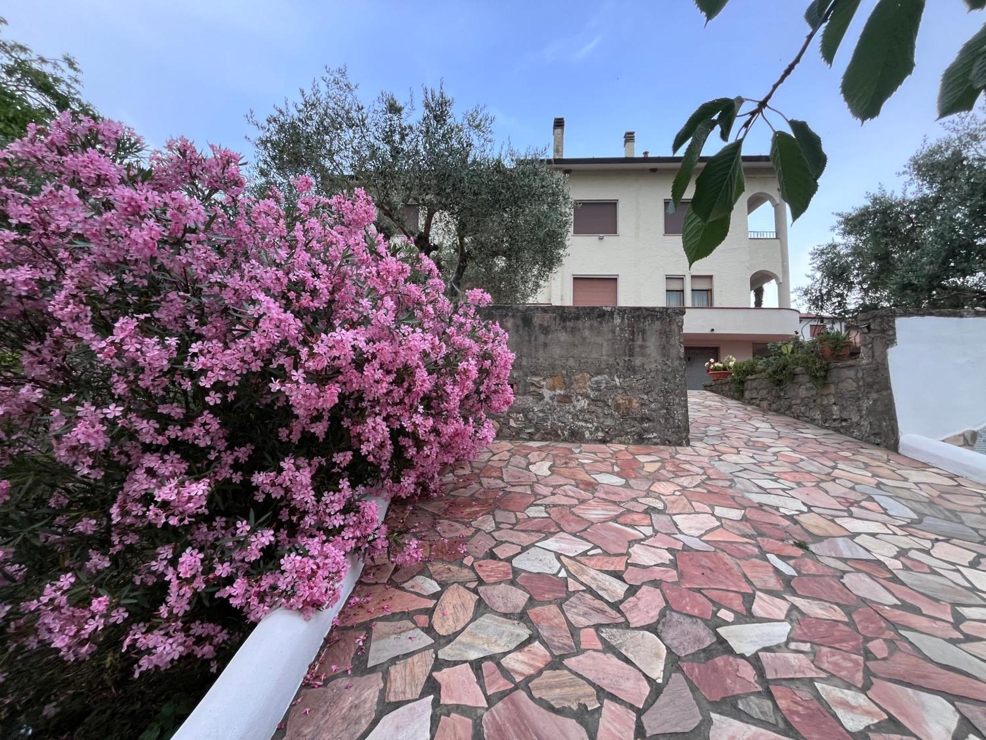 Casa Di Katia Apartment Collesalvetti Exterior photo